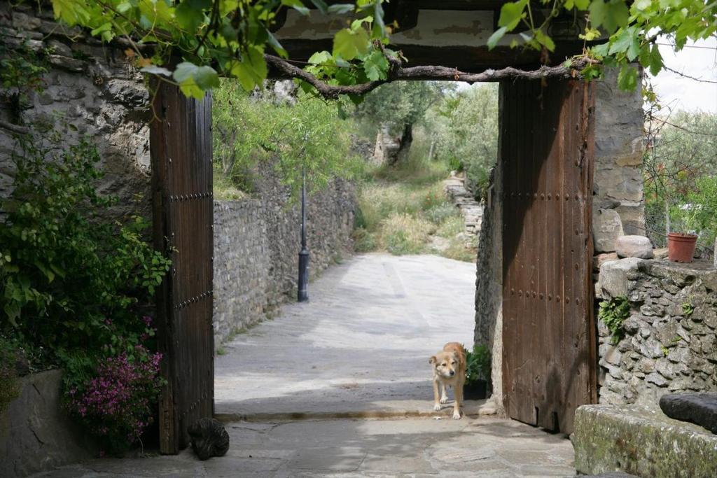 Casa Trallero Almazorre Εξωτερικό φωτογραφία